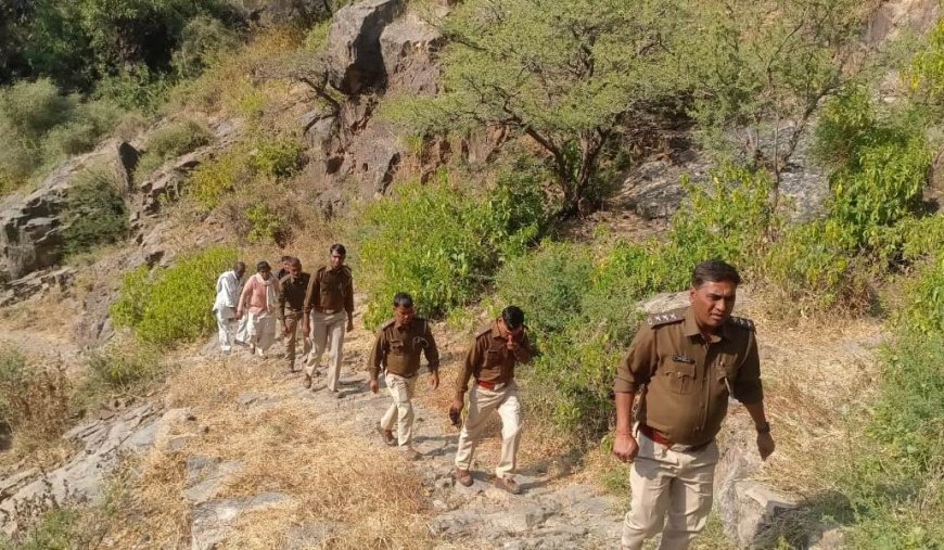 मादा पैंथरो की मौत के कारणों का पता लगाने पहाड़ों में निकली फॉरेस्ट विभाग की टीम