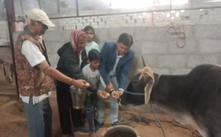 अनूठी पहल - बेटे  के जन्मदिन पर गौ सेवा उपचार केंद्र पर गायों को खिलाया दलिया व गुड