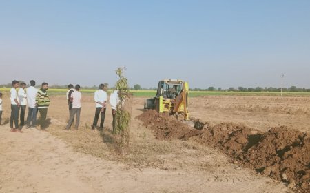 चारागाह भूमि को कराया अतिक्रमण से मुक्त