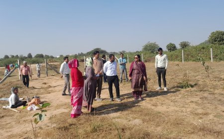 प्रभारी सचिव राजोरिया ने जहाजपुर में मिड-डे मील एवं  शहरी नरेगा कार्य किया निरीक्षण