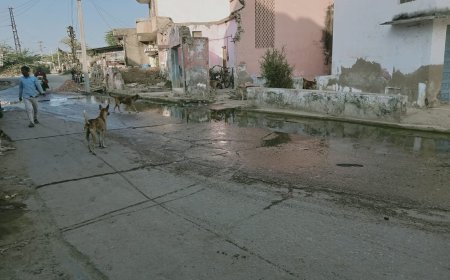 गंदगी एवं कचरे से भरी हुई है नालियां गंदा पानी सड़कों पर हो रहा जमा, बीमारियां फैलने का खतरा