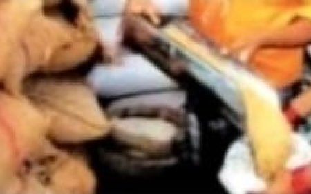 गिवअप अभियान जारी रहेगा 31 जनवरी 2025:   सक्षम व्यक्तियों को हटाने होंगे योजना से नाम, नहीं तो होगी सख्त कार्रवाई