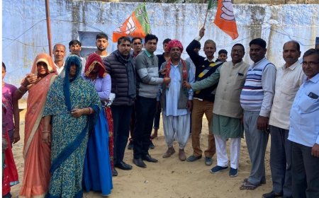 भाजपा मंडल बूथ अध्यक्ष के चुनाव बूथ अध्यक्ष सर्व समिति से मनोनीत