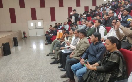 राज्य स्तरीय राईजिंग राजस्थान ग्लोबल इन्वेस्टमेंट समिट: जिले के उद्योगपतियों और अधिकारियों ने वीसी के माध्यम से लिया भाग