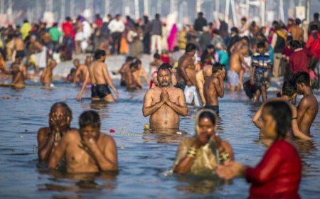 महाकुंभ मेला: प्रयागराज में अलवर के लोगों के लिए ठहरना:  भोजन-पानी फ्री