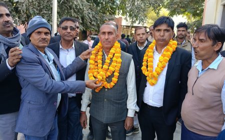 एडवोकेट मेघराज सैनी बने उदयपुरवाटी बार संघ अध्यक्ष