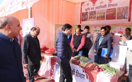 आयुक्त देवस्थान विभाग ने जिला विकास प्रदर्शनी का किया अवलोकन :राजस्थान सरकार के एक वर्ष पूर्ण होने पर  जिला स्तरीय किसान सम्मेलन आयोजित