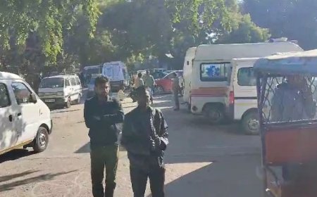 पिता की मौत के बाद इकलौते पुत्र का निधन शोक की लहर छाई