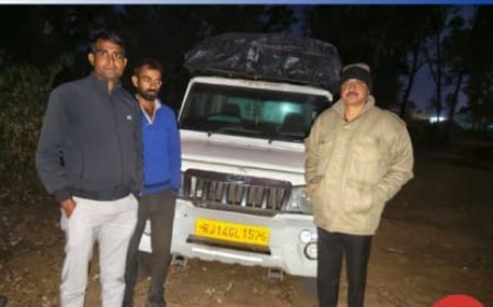 कार्यवाही;- वन विभाग की टीम ने हरि लकड़ियों से भरी पिकअप  को किया जप्त