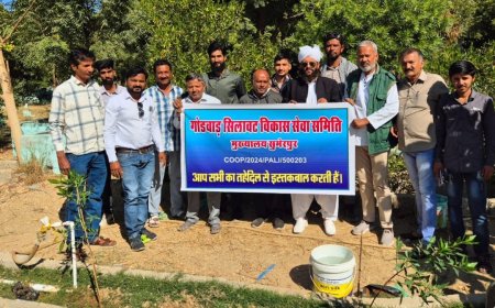 कब्रिस्तान में पौधे लगा - पोधो को बचाने का संकल्प 