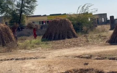 हसनपुर राजकीय प्राथमिक विद्यालय अतिक्रमण और उपेक्षा का शिकार,दबंग नही हटा रहे अतिक्रमण