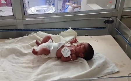 मां की ममता को किया शर्मसार नवजात बालिका को बेसहारा छोड़ फरार हुई निर्लज्ज मां