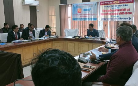 जिला स्तरीय बैकर्स सलाहकार एवं जिला समीक्षा समिति की बैठक आयोजित,  सरकार द्वारा प्रायोजित योजनाओं में पात्रजनों को समय पर ऋण मिले- जिला कलक्टर
