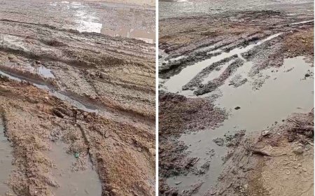 सड़क पर जल भराव से दुपहिया वाहन व पैदल चलने वालों का निकलना मुश्किल