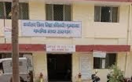 जिला शिक्षा अधिकारी नेकीराम के निलम्बन के बाद अब कृपा शंकर मीणा होंगे अलवर के DEO