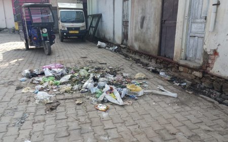 जिला कलैक्टर के आदेशों की खुली धज्जियां माचाड़ी चौक में भारी गंदगी का आलम