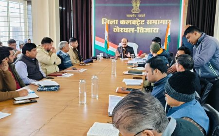 जिला कलेक्टर ने पीएम सूर्य घर योजना के व्यापक प्रचार-प्रसार के दिए निर्देश,  1 जनवरी से शुरू होगा सड़क सुरक्षा माह