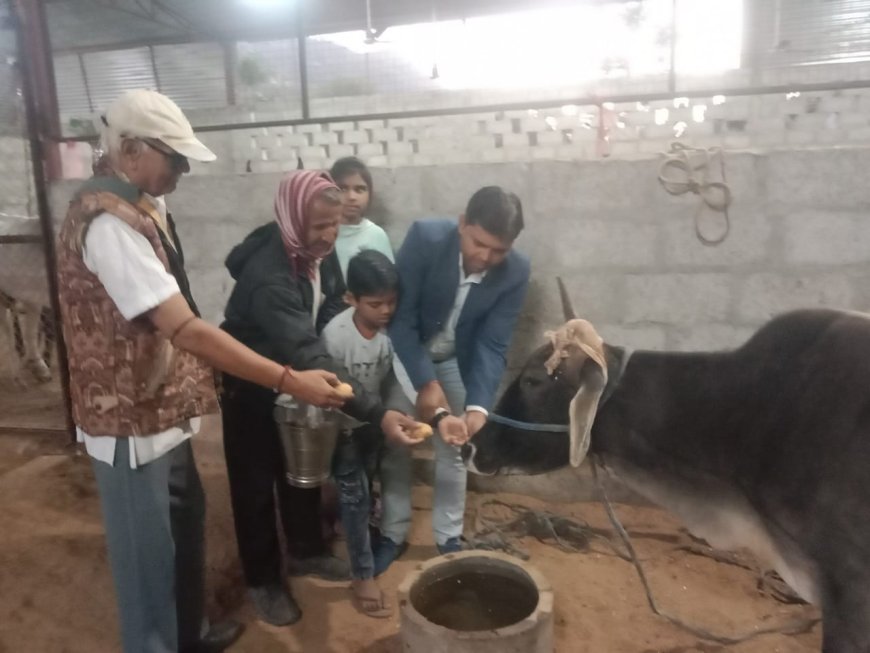 अनूठी पहल - बेटे  के जन्मदिन पर गौ सेवा उपचार केंद्र पर गायों को खिलाया दलिया व गुड