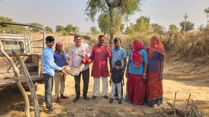 श्वानों के चंगुल से घायल हरिण का रेस्क्यू कर पहूंचाया वन्यजीव संरक्षण संस्थान