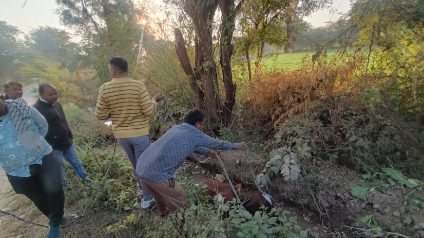 श्याम मित्र मंडल ने की फिर मानवता की मिशाल पेश