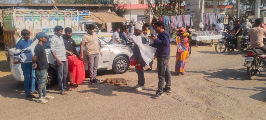 डम्फर ने कुचलकर बंदर की हत्या,आमजन ने कार में शव ले जाकर दफनाया