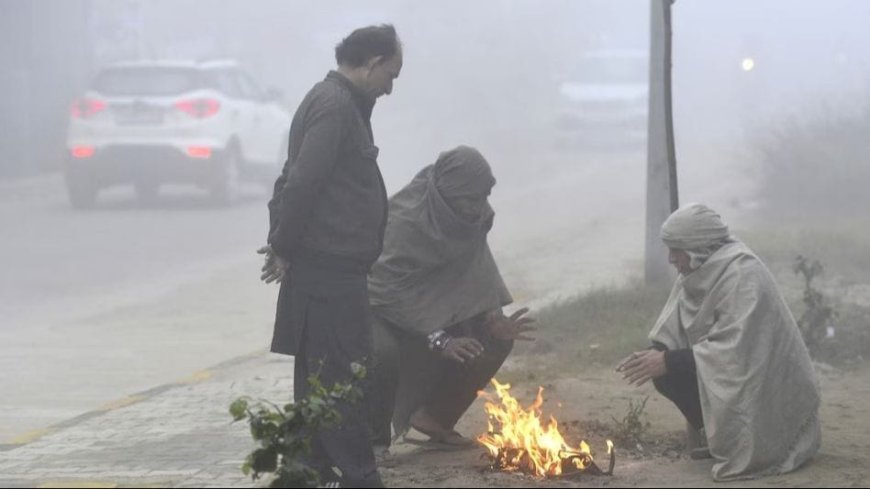 शीत लहर से करें बचाव , ठंड से हो सकते हैं दुष्प्रभाव