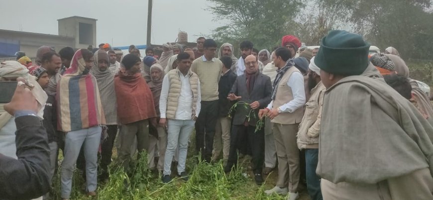 ओलावृष्टि से प्रभावित मुंडावर के ग्राम बासनी एवं सांचौद क्षेत्र का जिला कलेक्टर ने किया निरीक्षण