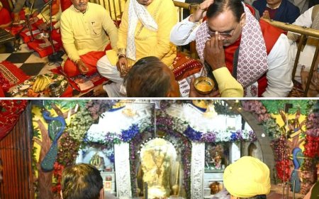 साल 2024 के अंतिम दिन सिद्धपीठ मेहंदीपुर बालाजी धाम पहुंचे मुख्यमंत्री भजनलाल शर्मा