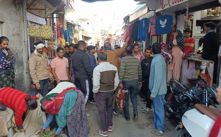 नगर निगम भीलवाड़ा की अतिक्रमण शाखा द्वारा उपनगर पुर के मुख्य मार्ग से अतिक्रमण हटाया