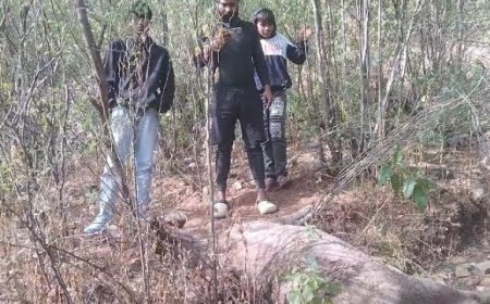 अलवर शहर के कोतवाली थाना क्षेत्र मे पैंथर की मूवमेंट से लोगों में दहशत