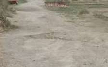 सड़क मार्ग बदहाल,अब डामर भी गायब :दुर्घटना का रहता है अंदेशा