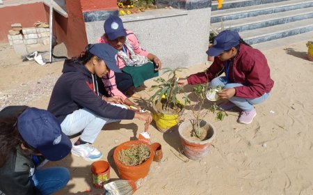 स्वयंसेवकों ने चिह्नित बस्ती में किया शैक्षिक आर्थिक सर्वेक्षण:स्वामी विवेकानंद के जीवन और युवा भारत विषय पर हुआ संवाद और पोस्टर प्रतियोगिता