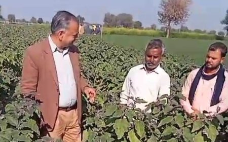 संयुक्त निदेशक उद्यान भरतपुर ने प्रगतिशील किसान दयाशंकर के फार्म का किया दौरा