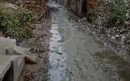पंचायत से नगरपालिका बनी पहाडी कीचड भरे रास्ते बन गए जंजाल पहाडी क़े गली मौहल्लो के आम रास्ते बदहाल, दलदल में से  आमजन का निकालना दुसवार