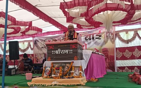 हीरवाना गोशाला में नानी बाई रो मायरो कथा का शुभारंभ