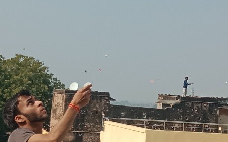 मकर संक्रांति पर आसमान में पतंगों का मेलाः  उदयपुरवाटी में दान-पुण्य का दौर, गौशाला में गायों को खिलाया हरा चारा
