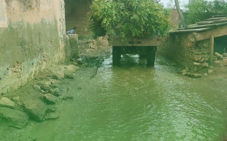 जलभराव व कीचड़ से ग्रामवासी परेशान: रास्तों से निकलना हो रहा दूभर