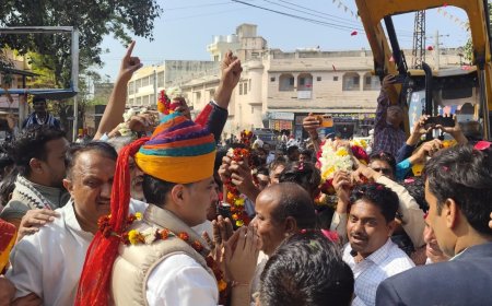 पाली संभाग को यथावत रखने का ज्ञापन पूर्व उप मुख्यमंत्री पायलट को सौंपा