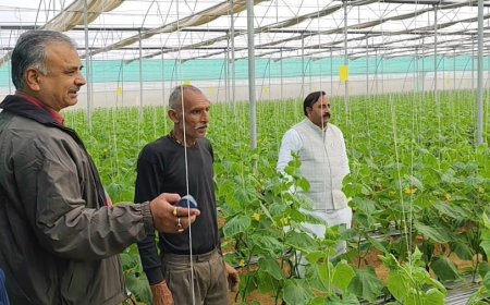 उद्यान विभाग के अधिकारियों तथा जन प्रतिनिधियों ने देखीं उधानिकी गतिविधियां