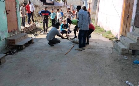 नगर परिषद खैरथल क्षेत्र में 24 आवारा कुत्तों को पकड़ कर बाहर छुड़वाए