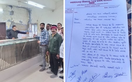 उपखंड अधिकारी को सार्वजनिक पथ प्रकाश व्यवस्था हेतु सौंपा ज्ञापन