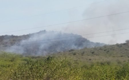 गुरलाँ स्थित अरावली की पहाड़ी पर आग हुईं बेकाबू, फायरबिग्रेड की पहुँच से दूर, प्रशासनिक अधिकारी भी पहुचे