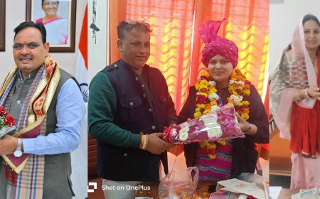 मुख्यमंत्री शर्मा से शिवानी दायमा ने की शिष्टाचार मुलाकात