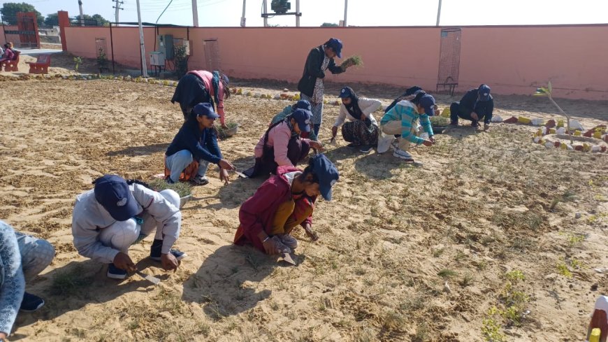 खैरथल महाविद्यालय में खेलों में करियर निर्माण और फिटनेस पर हुई विशेष कार्यशाला