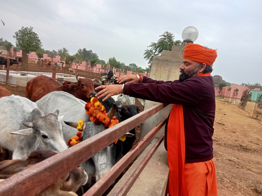 जाखल गोशाला में गायों को माला पहनाई व गुड़ खिलाकर लिया आशीर्वाद