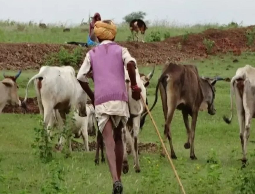 चारागाह भूमि का कम होना चिंता का विषय अतिक्रमण से गोवंशों को खतरा बढा