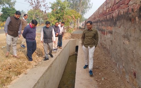 भरतपुर विकास प्राधिकरण द्वारा कराए जा रहे विकास कार्यों का जिला कलक्टर ने किया निरीक्षण