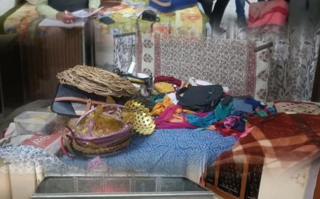 मकान मालिक अपनी पत्नी का इलाज करवाने गया जयपुर: चोरो ने किया हाथ साफ