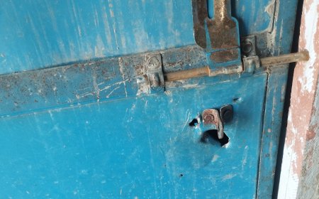 महात्मा गांधी स्कूल को अज्ञात चोरों ने बनाया निशाना: एक सिलेंडर व भगोना सहित अन्य समान पार