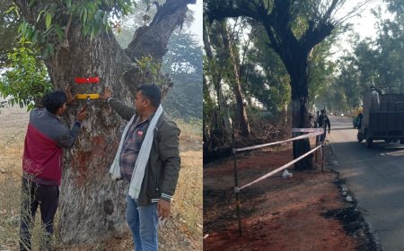 सड़क के चौड़ाईकरण में आ रहे पेड़ों पर लगाया रिफ्लेटर टैप, किया पेन्टिंग कार्य